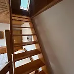 Drossel Neßmersiel